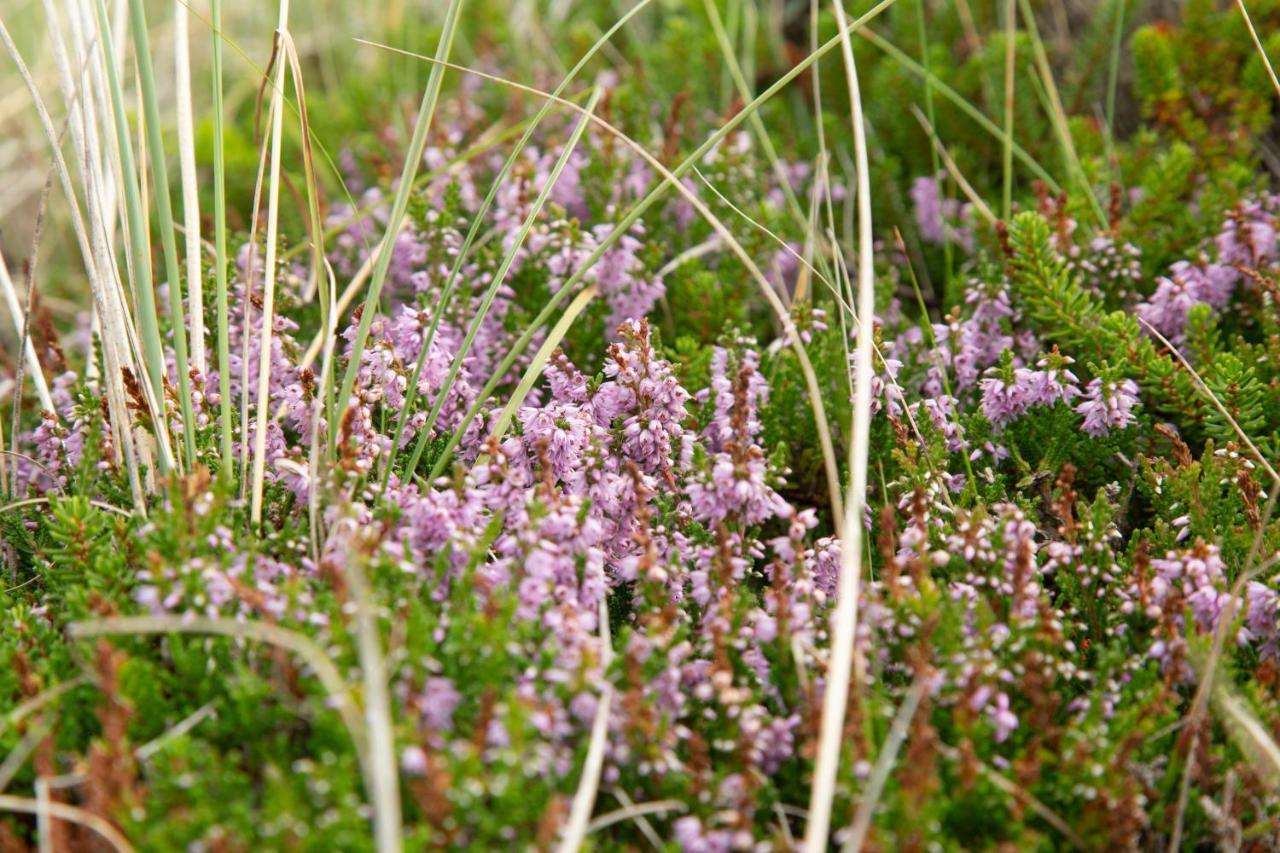 Ronnes Fjerritslev