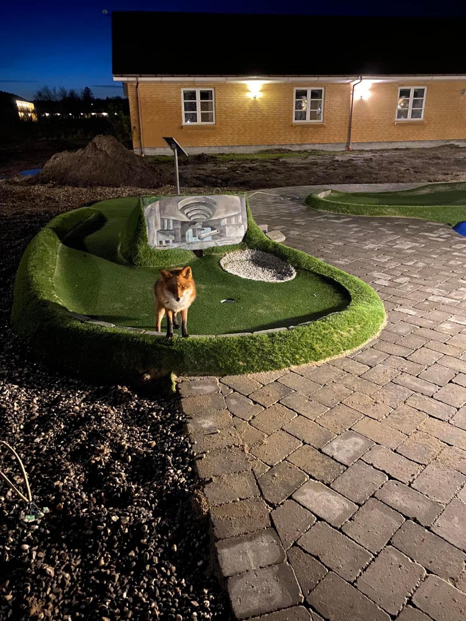 Ronnes Fjerritslev
